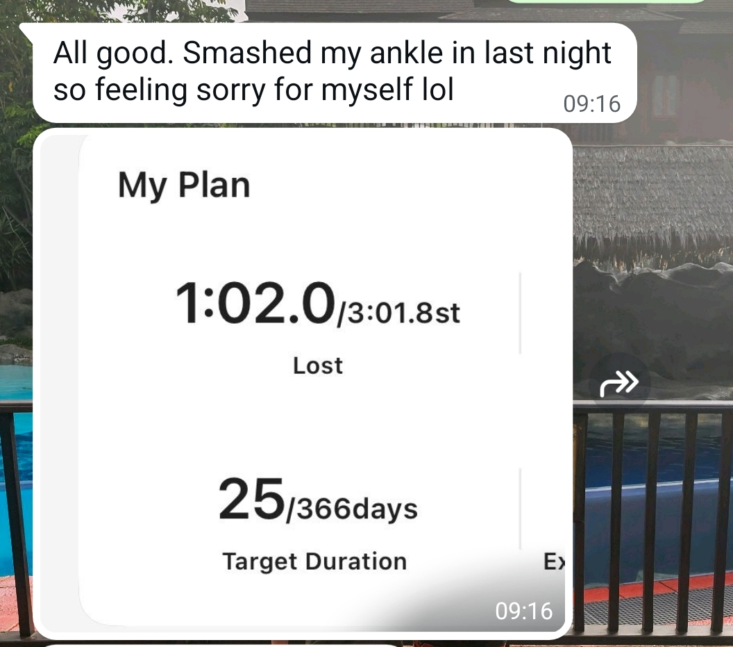 Weight plan showing 1st 2lb lost in 25 of 366 days
