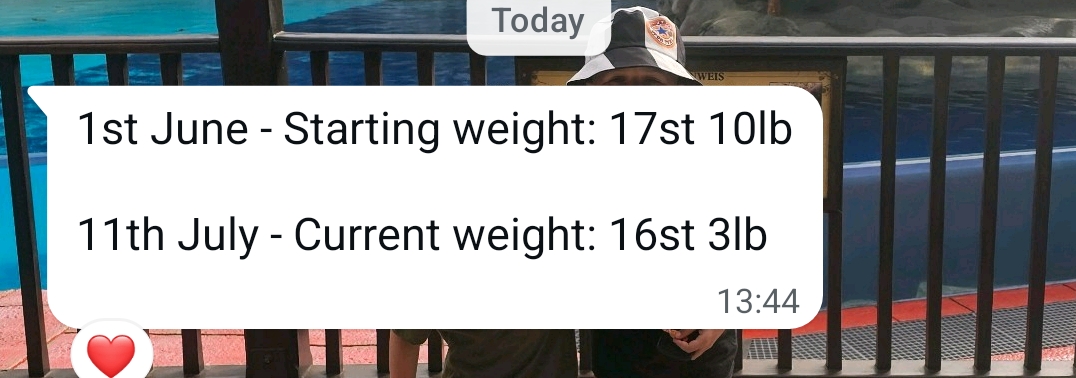 WhatsApp: Starting weight 17st 10lb June 1, current 16st 3lb July 11